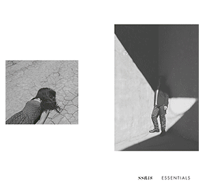 02_IG.gif