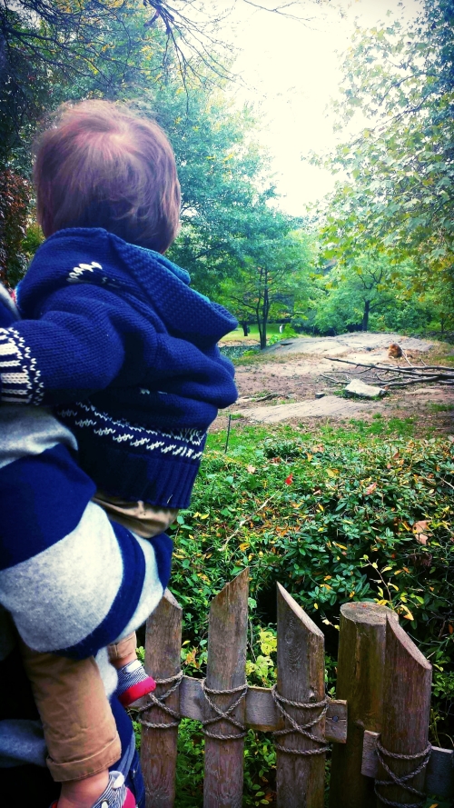 20141013_113443.jpeg