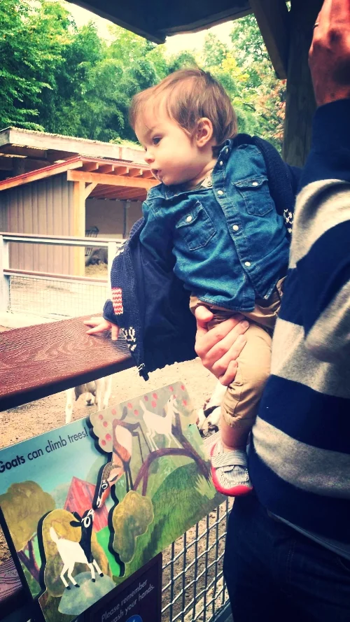 20141013_122618.jpeg