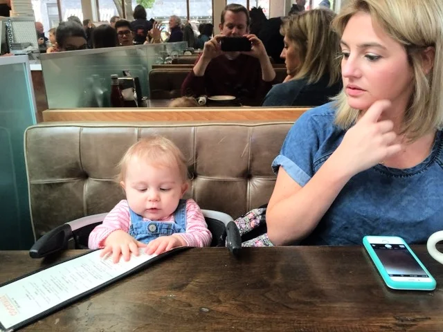 Tabby wisely perusing the cocktail menu
