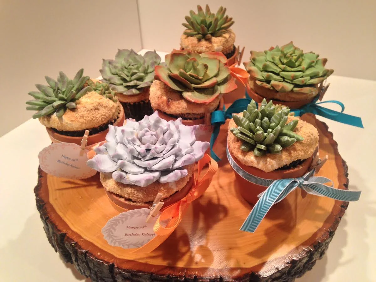 Succulent cupcakes