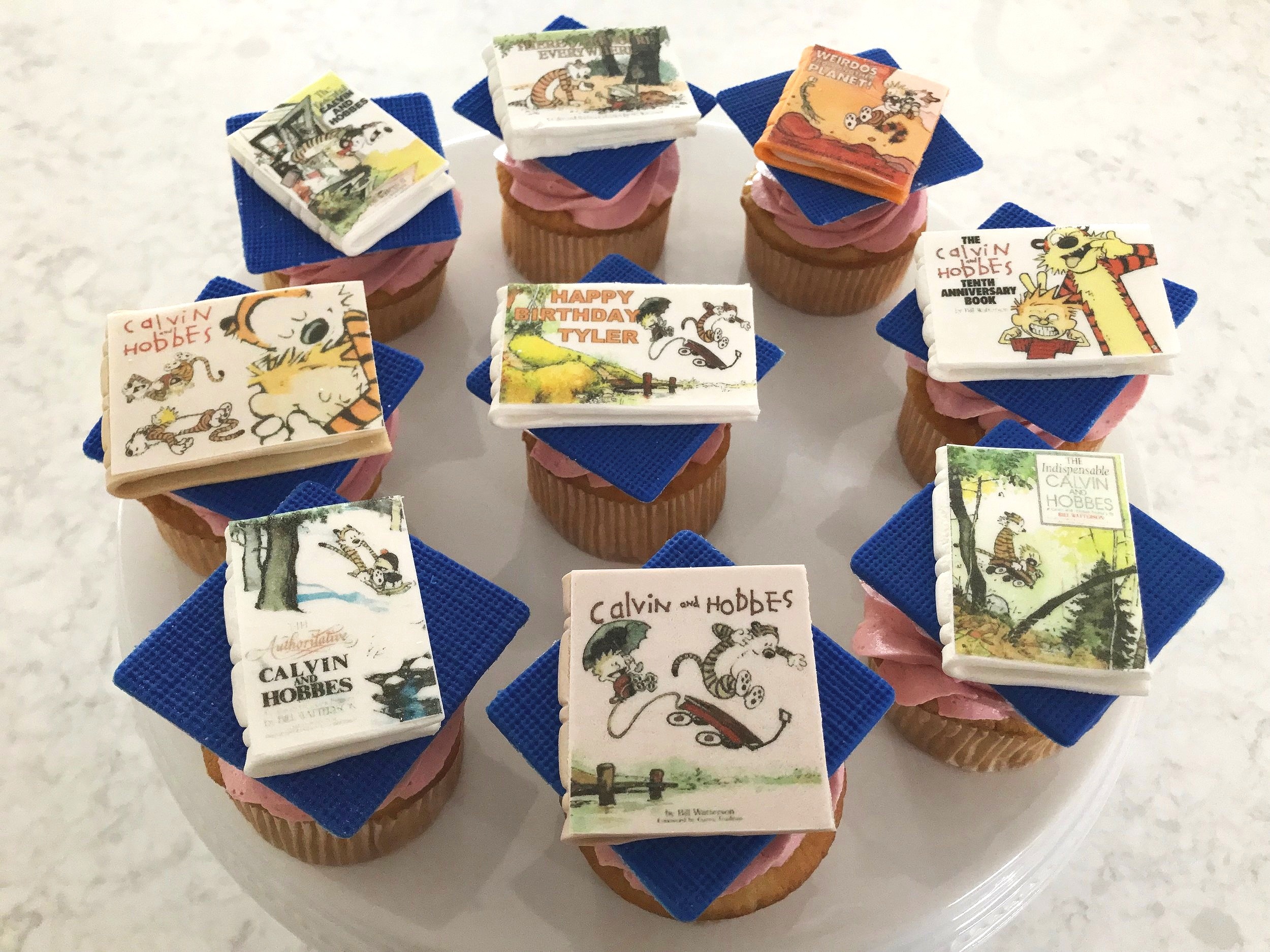 Calvin and Hobbes Birthday Cupcakes