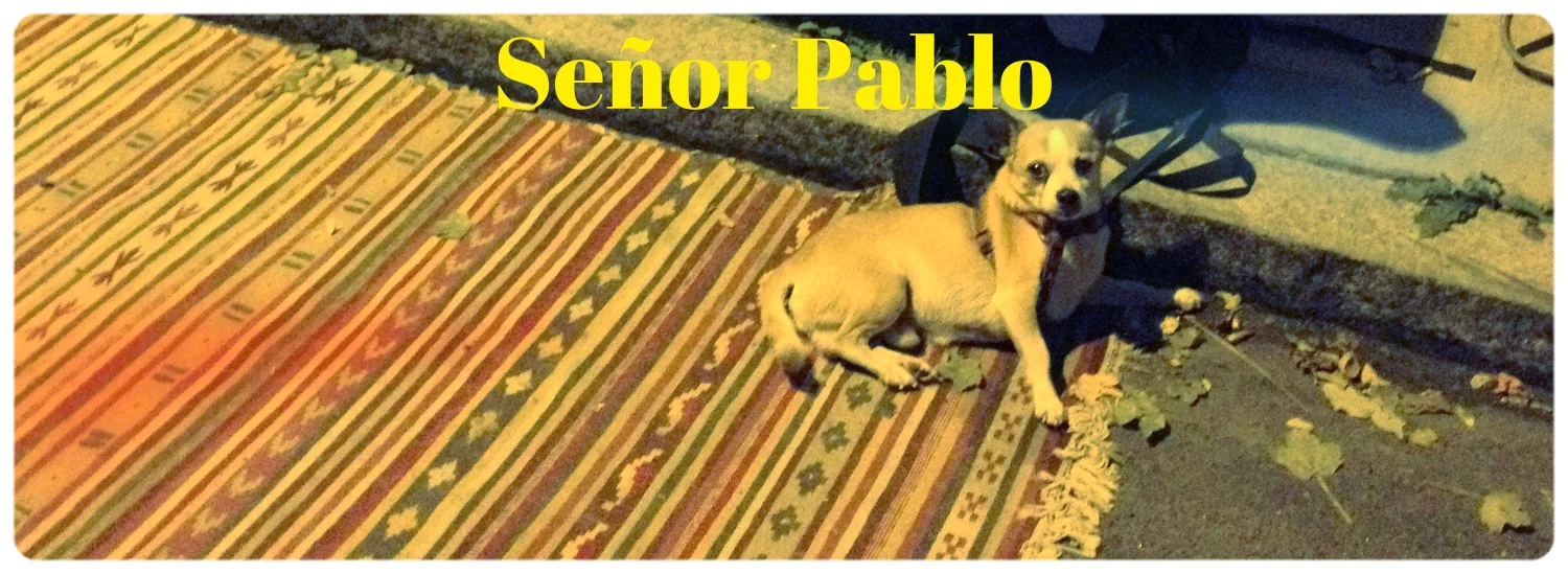 pablo.rug.JPG