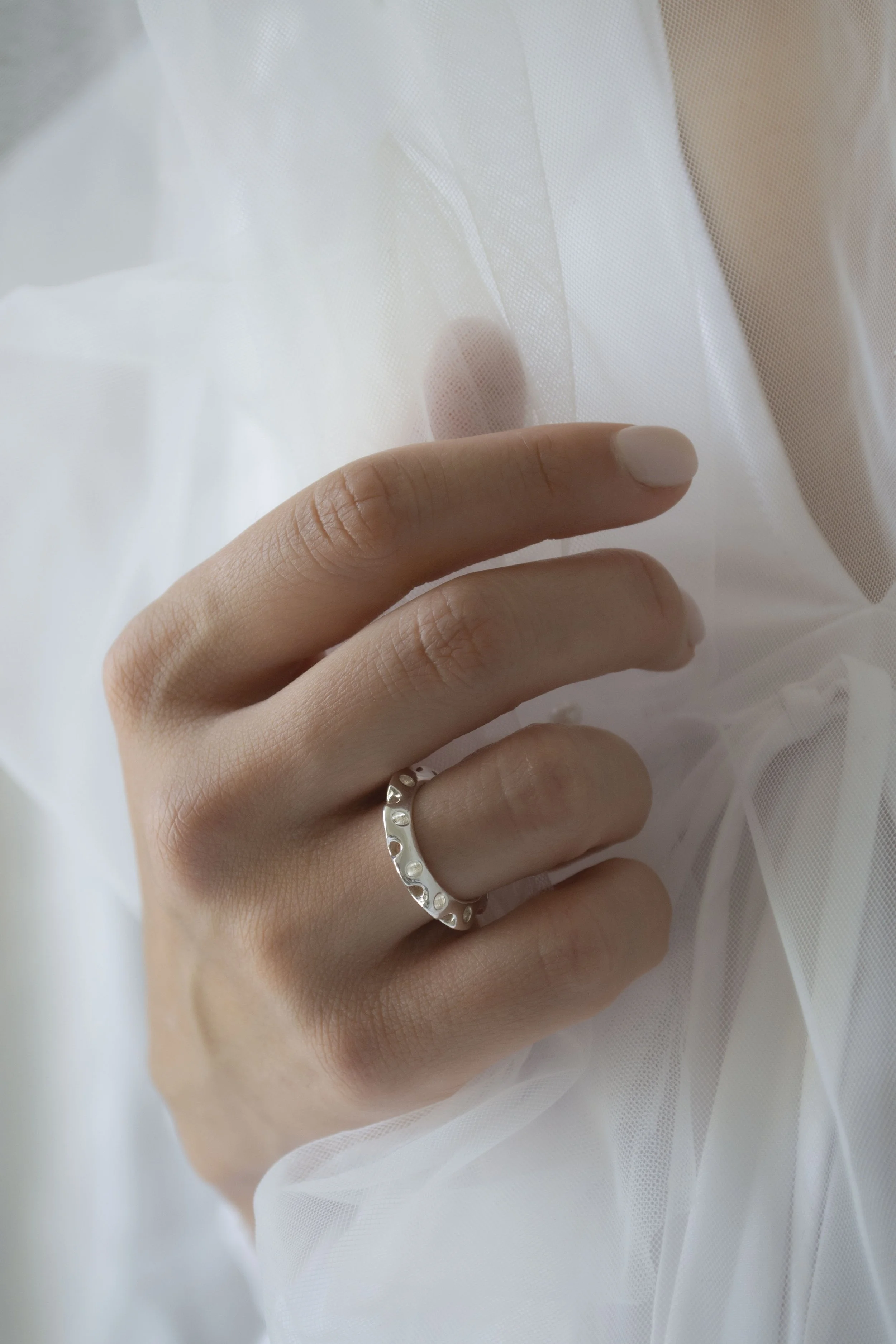 Ferris Wheel S veil model.JPG