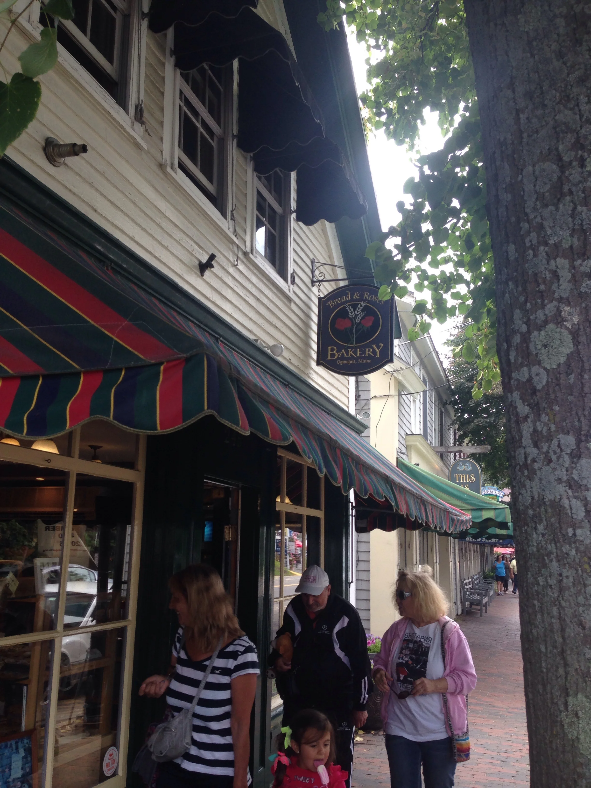 Around New England Marginal Way, Ogunquit, Maine —New England