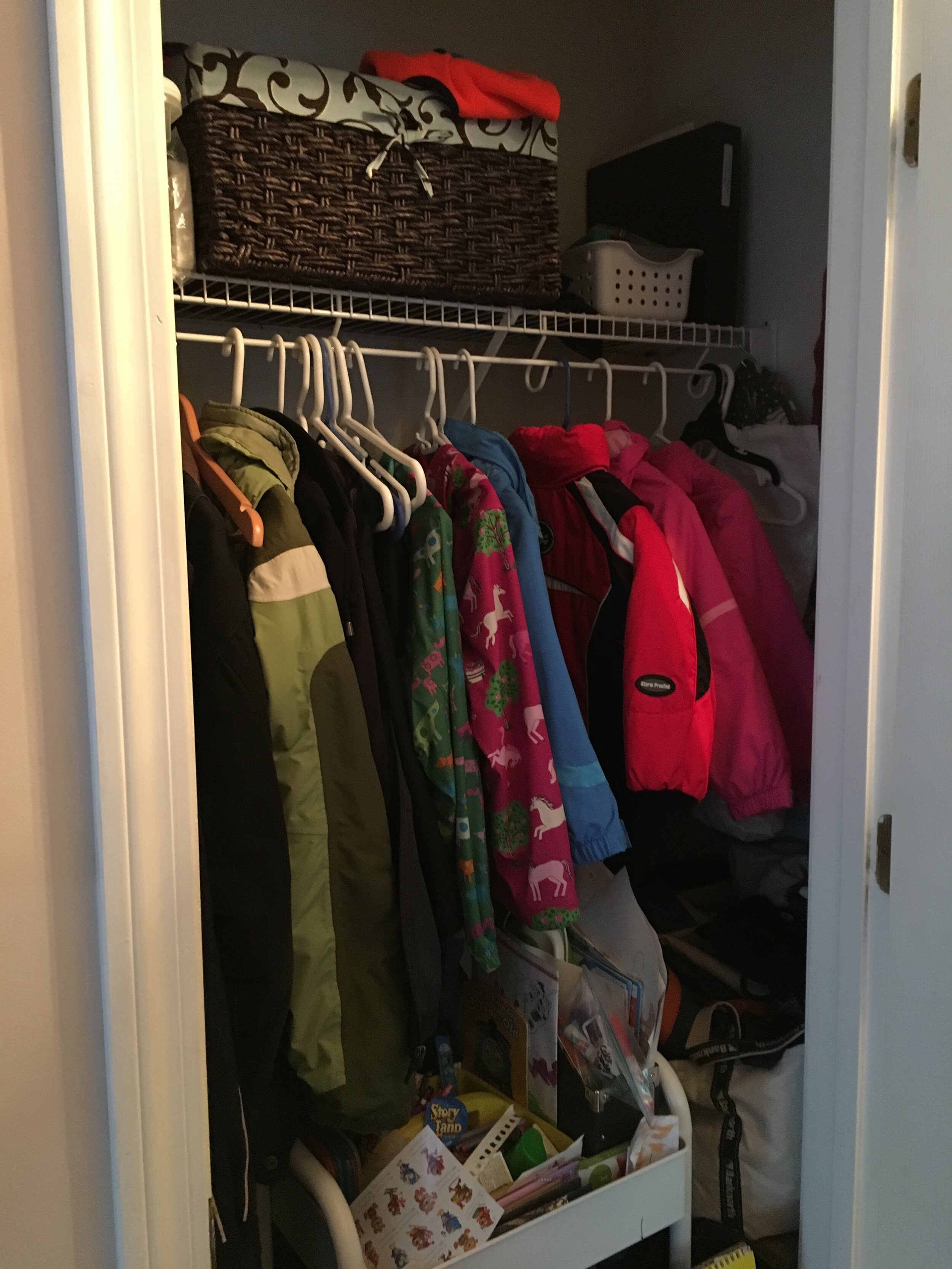 How to Turn a Hall Closet into an Organized Pantry - Birchwood Dream