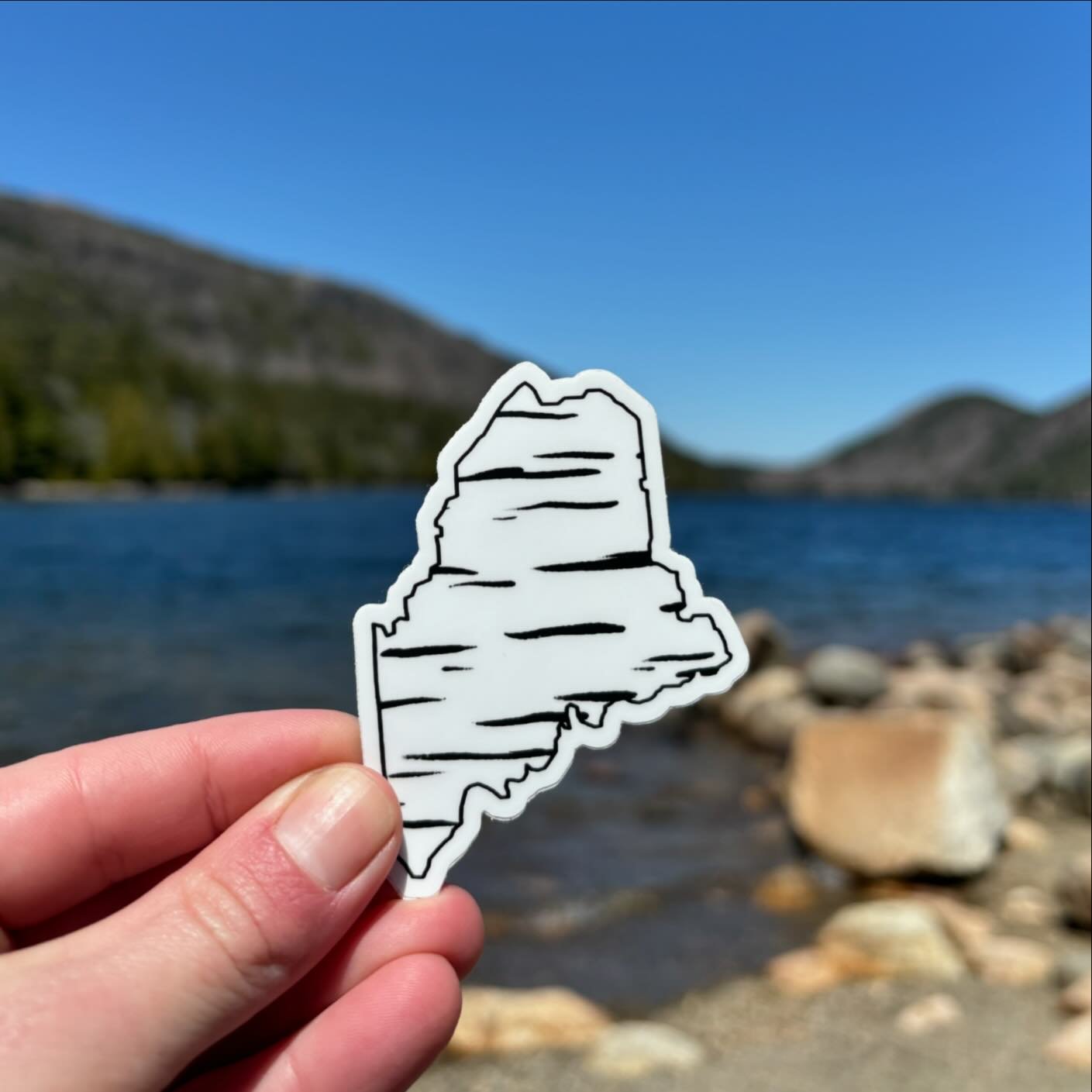 Our Birch Maine Stickers are right at home in Acadia 🙌🏼