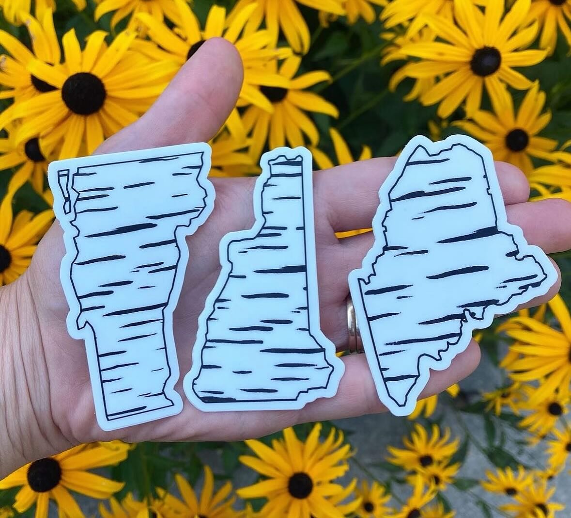 What local stores could you see our Birch State Stickers carried at? Please tag them below ⬇️💕