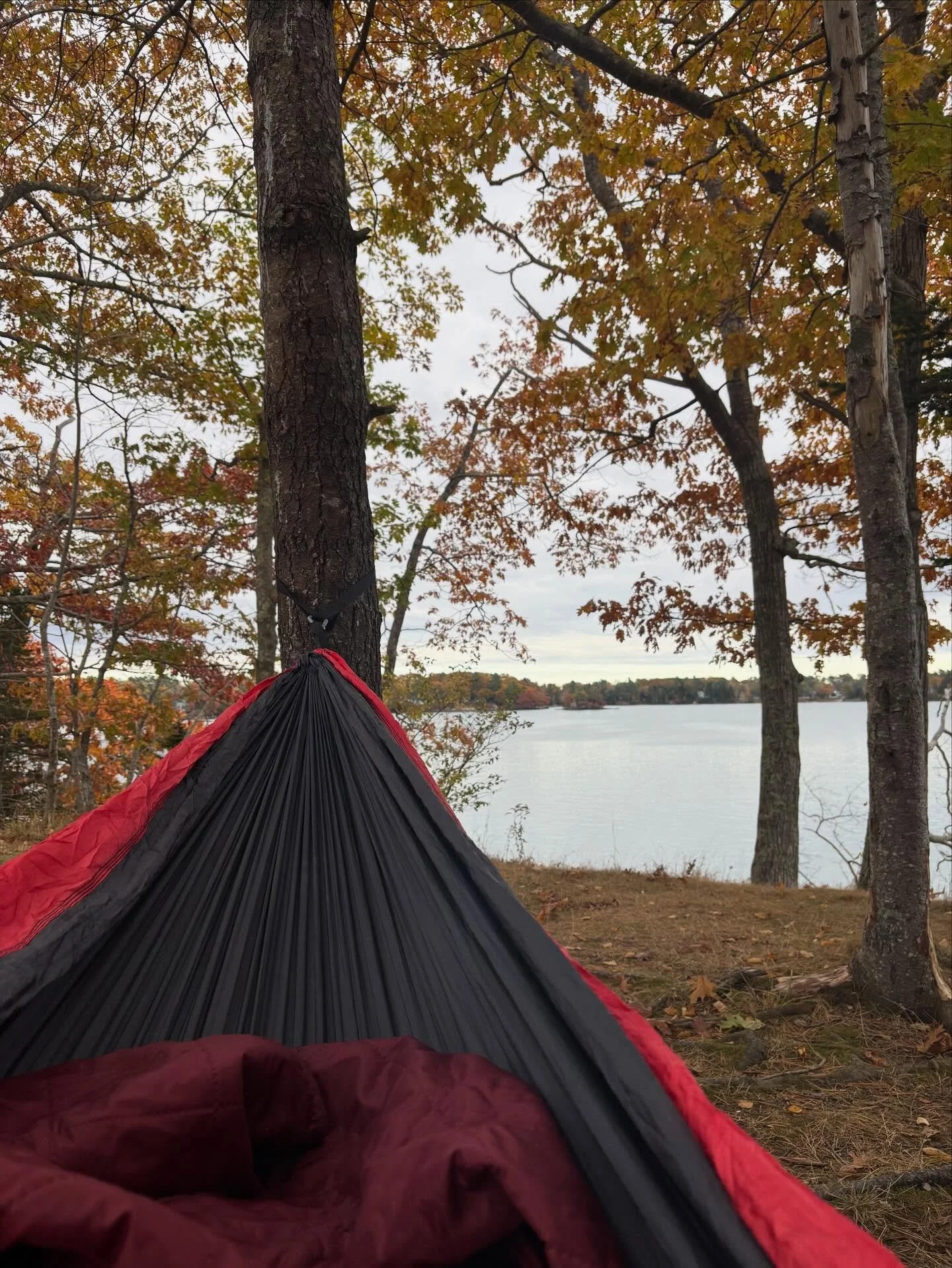 Fall camping views 🙌🏼