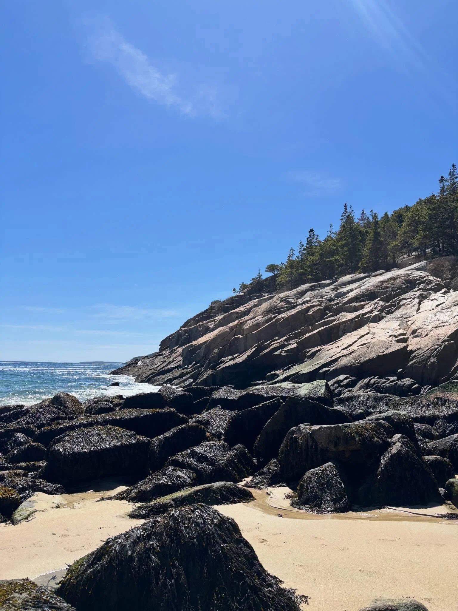 Acadia, you&rsquo;re so pretty 🌲🌊🙌🏼