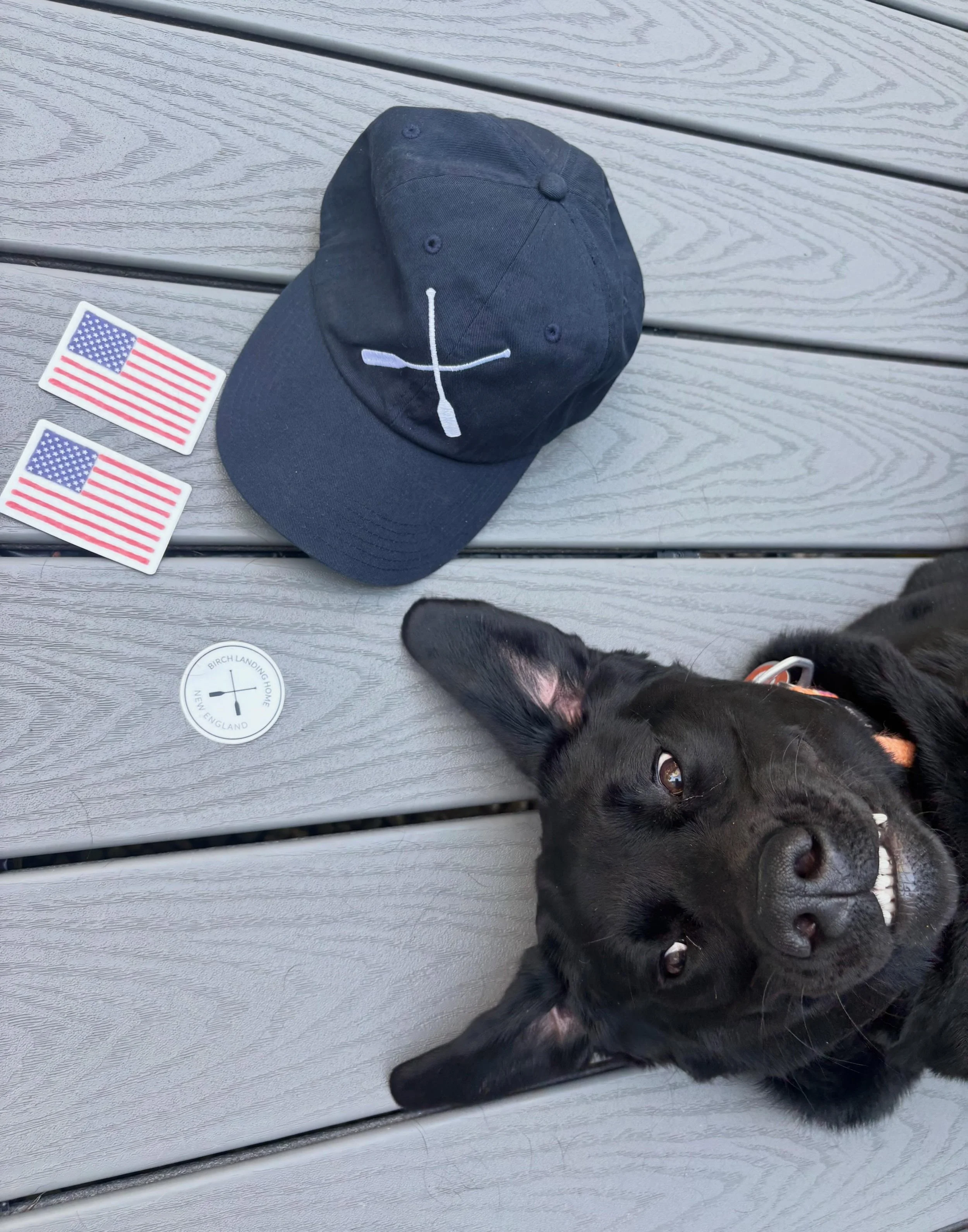 Chevy says &ldquo;Did you enter the Giveaway yet??&rdquo; 🐶

No?! Look back two posts and enter now - the Giveaway ends tomorrow! 🇺🇸