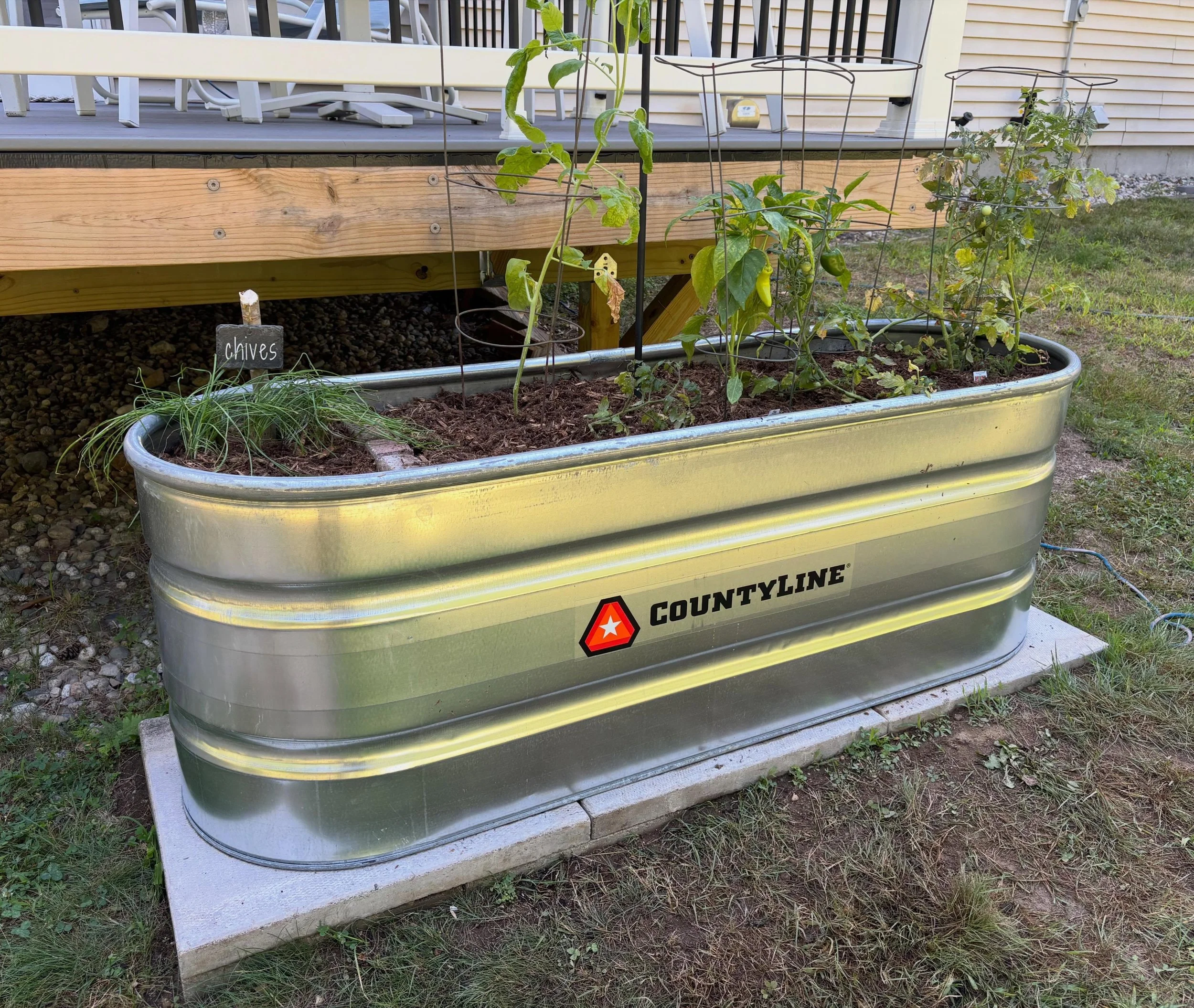 Finally got my little stock tank veggie/herb garden set up 🙌🏼🌱 (Blog post coming soon on tips for prepping and setting up one of these.)