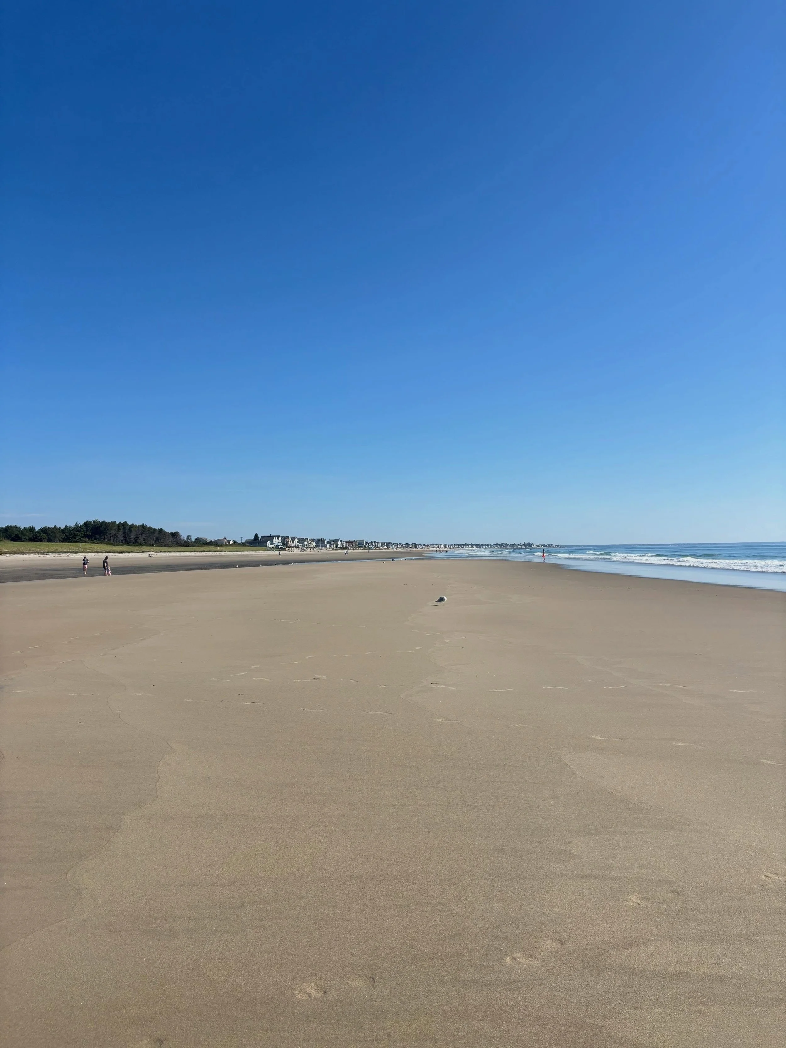 Beautiful beach morning and ice cream for lunch&hellip; a great way to wrap up summer 🌊🍦