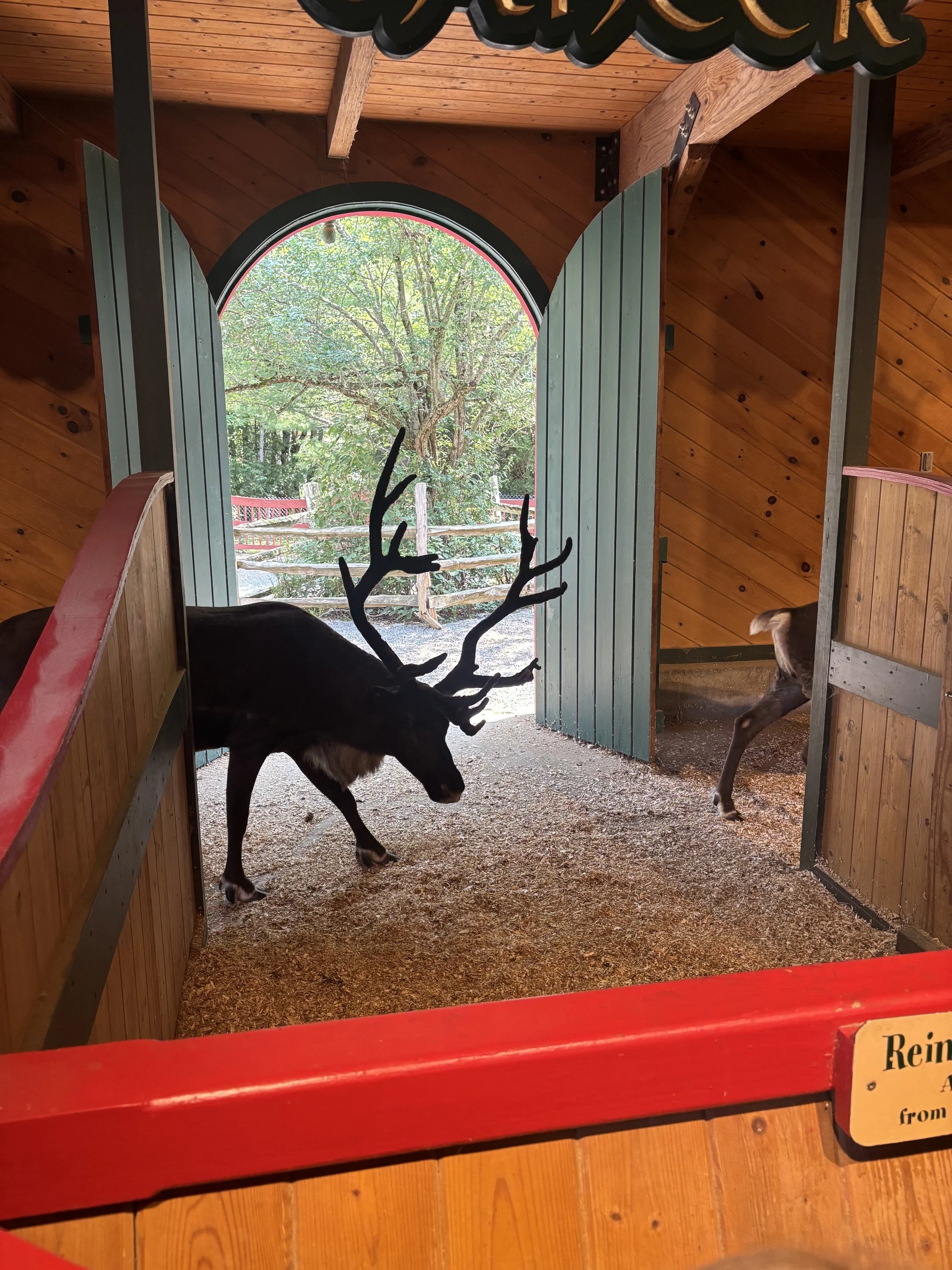 Santa's Village, NH Review - Tips, Tricks, & Information for Your Visit