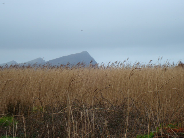Three Sisters, Dingle, Co Kerry, Ireland. June afternoon.