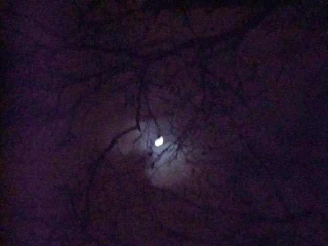 London on a January night. Wolf Moon waxing.