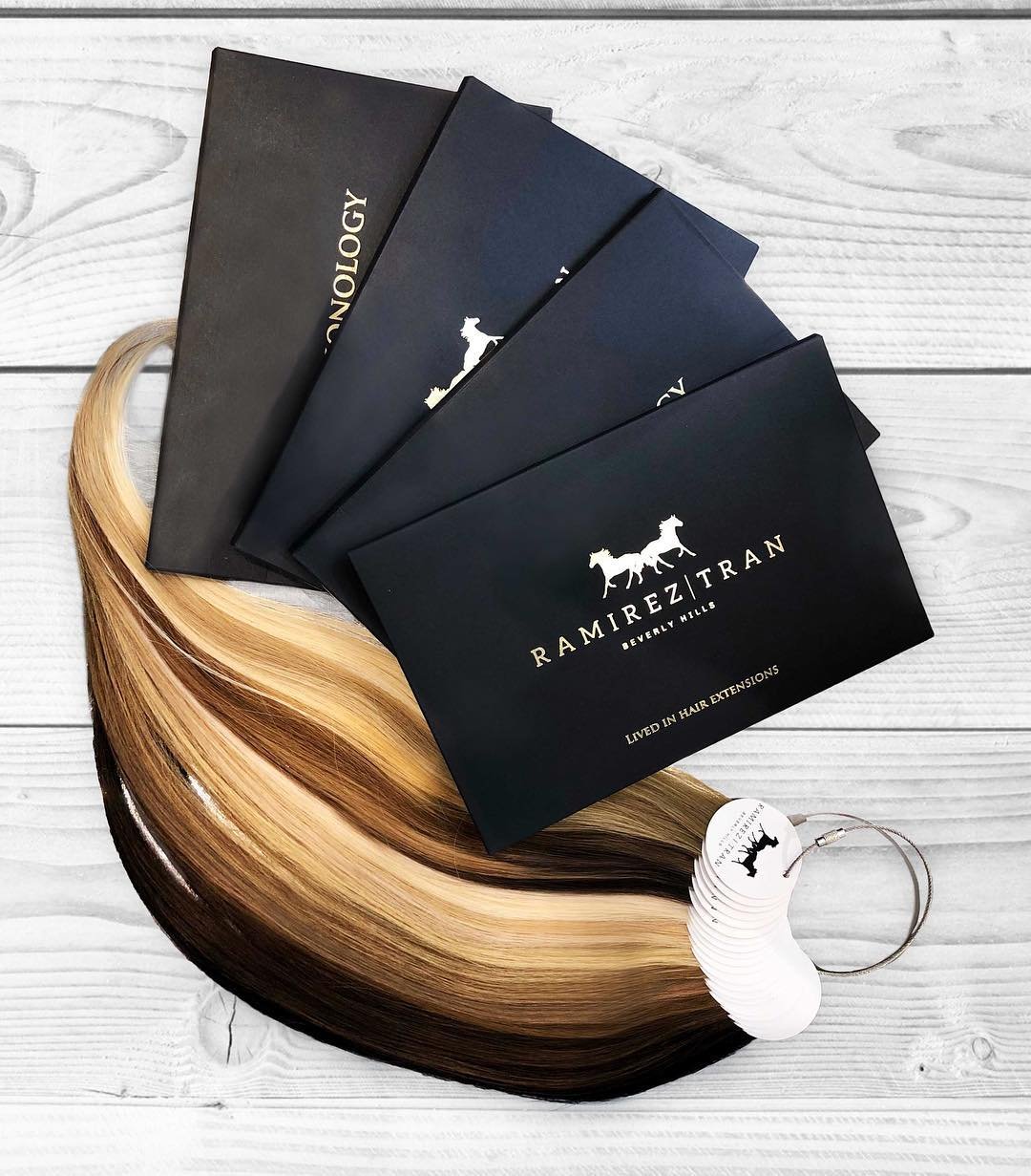 Time to have some fun!
.
.
.
.
.
. #hair #hairstyle #hairs #haircut #haircolor #Hairdresser #Hairfashion #hairinspo #Hairinsporation #hairenvy #hairofinstagram #hairoftheday #hairideas #hairlove #behindthechair #modernsalon #balayage #beautifulhair #