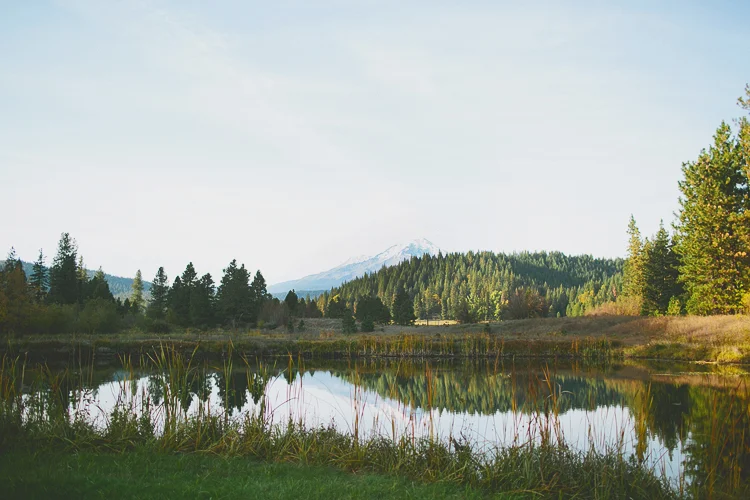 Married At Home / © Heather Armstrong Photography
