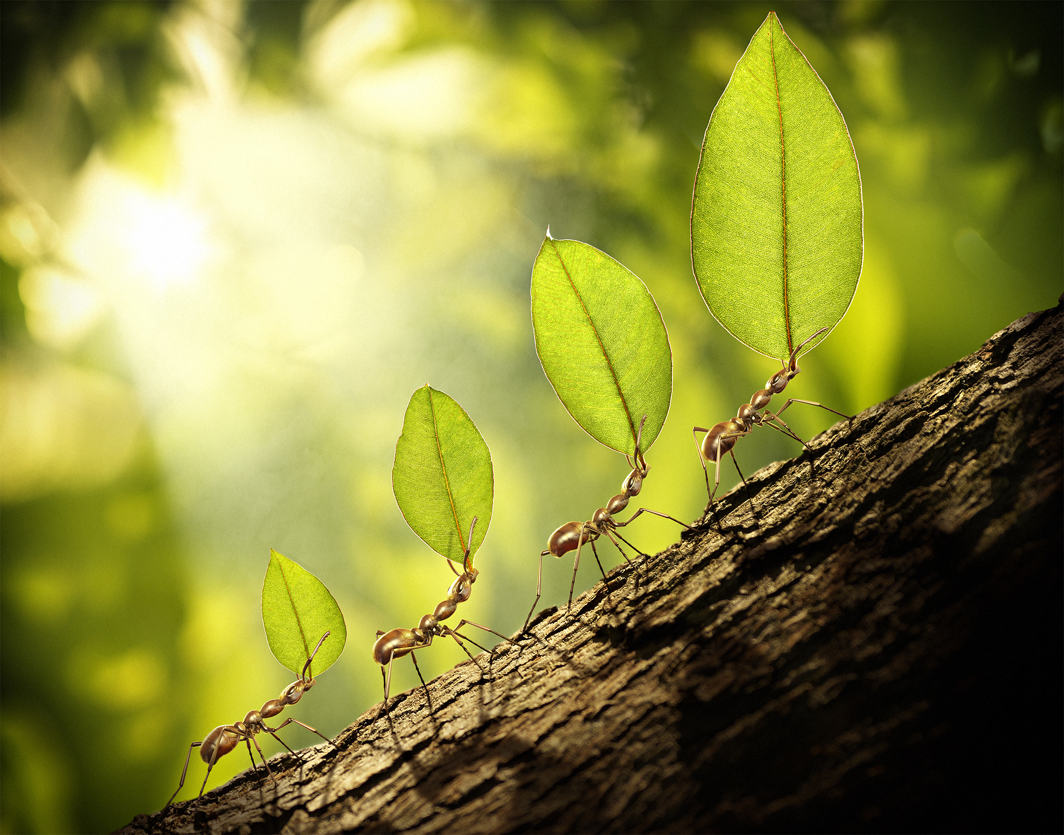 Client: Endeavour Energy Tasks: Complete image creation including photography, retouch, 3D modelling and composite.