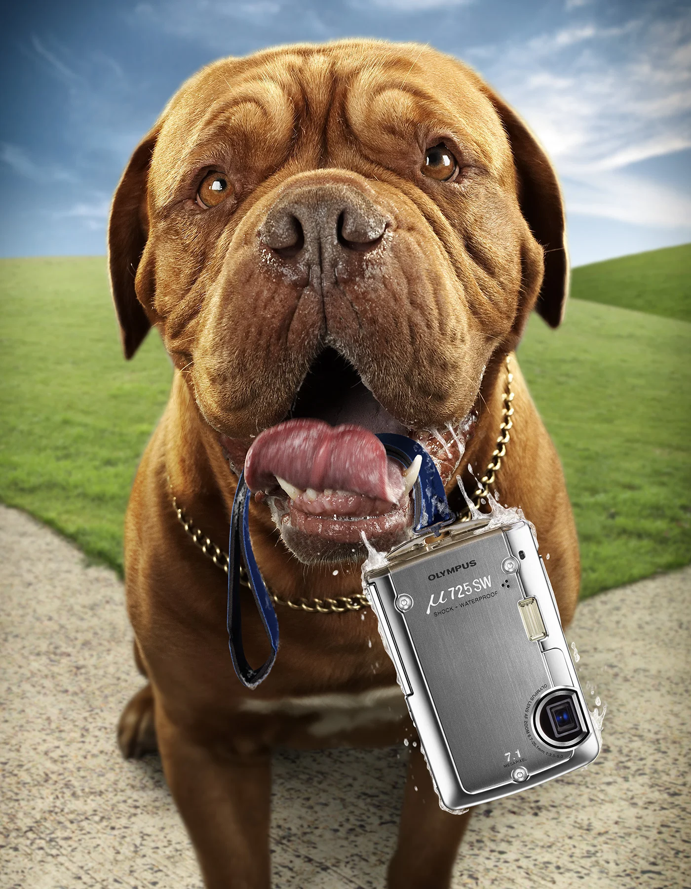 Client: Olympus Tasks: Complete image creation including photography, retouch and composite.