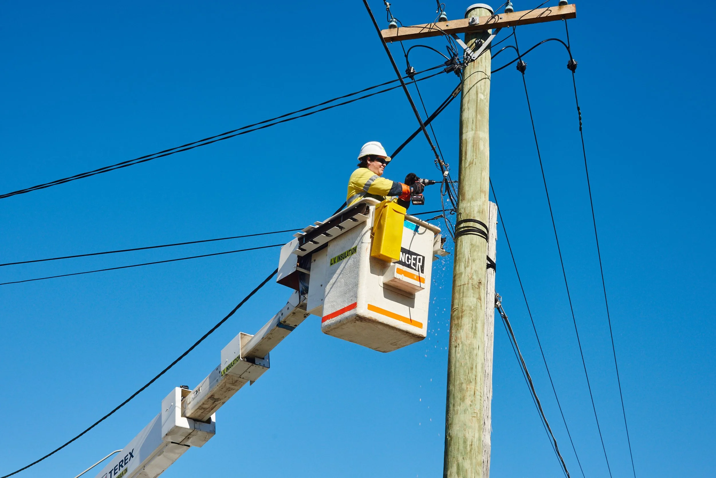 Powerline_activity_0065.jpg