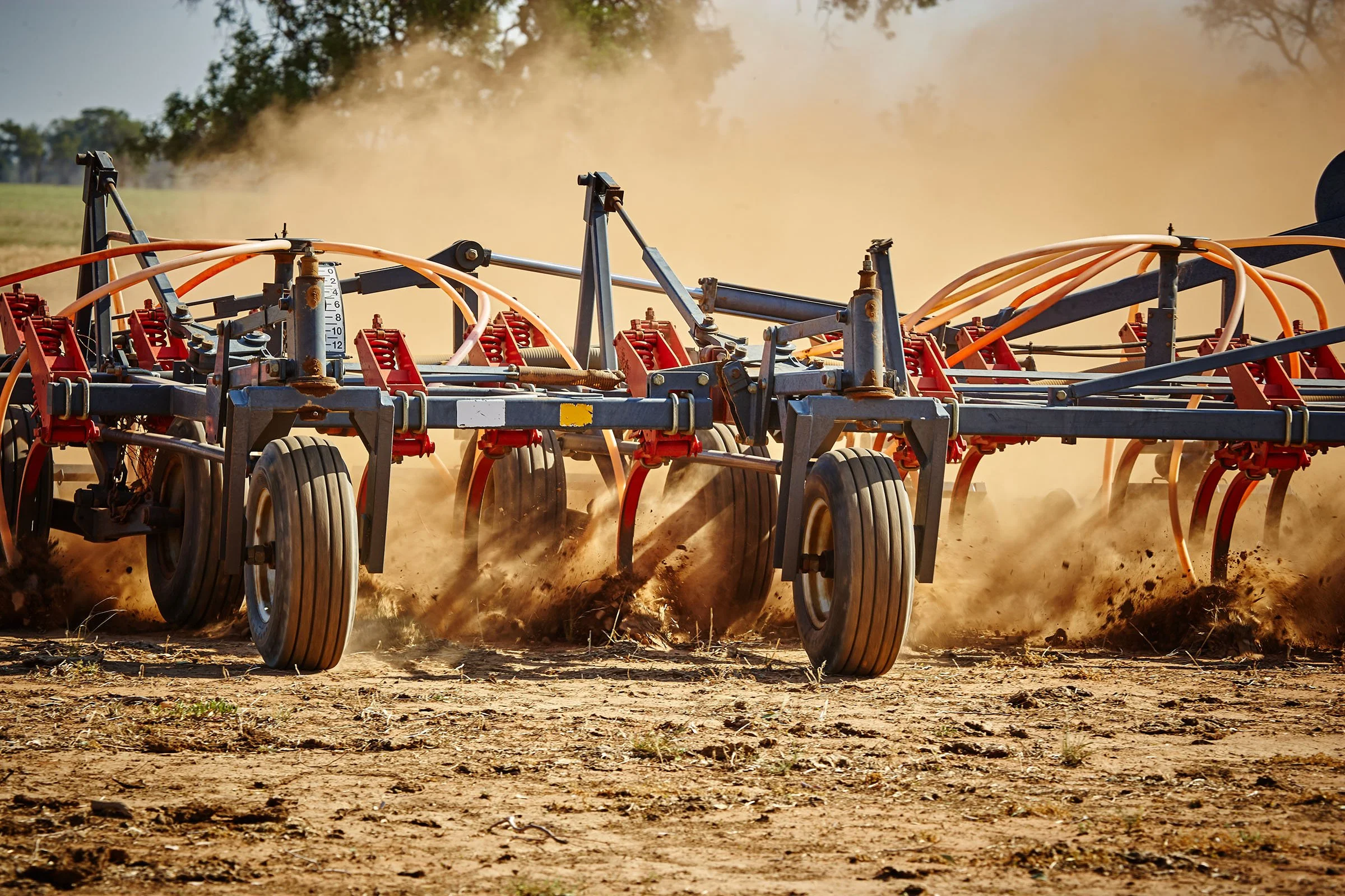 WES_agri_Dubbo_1456.jpg