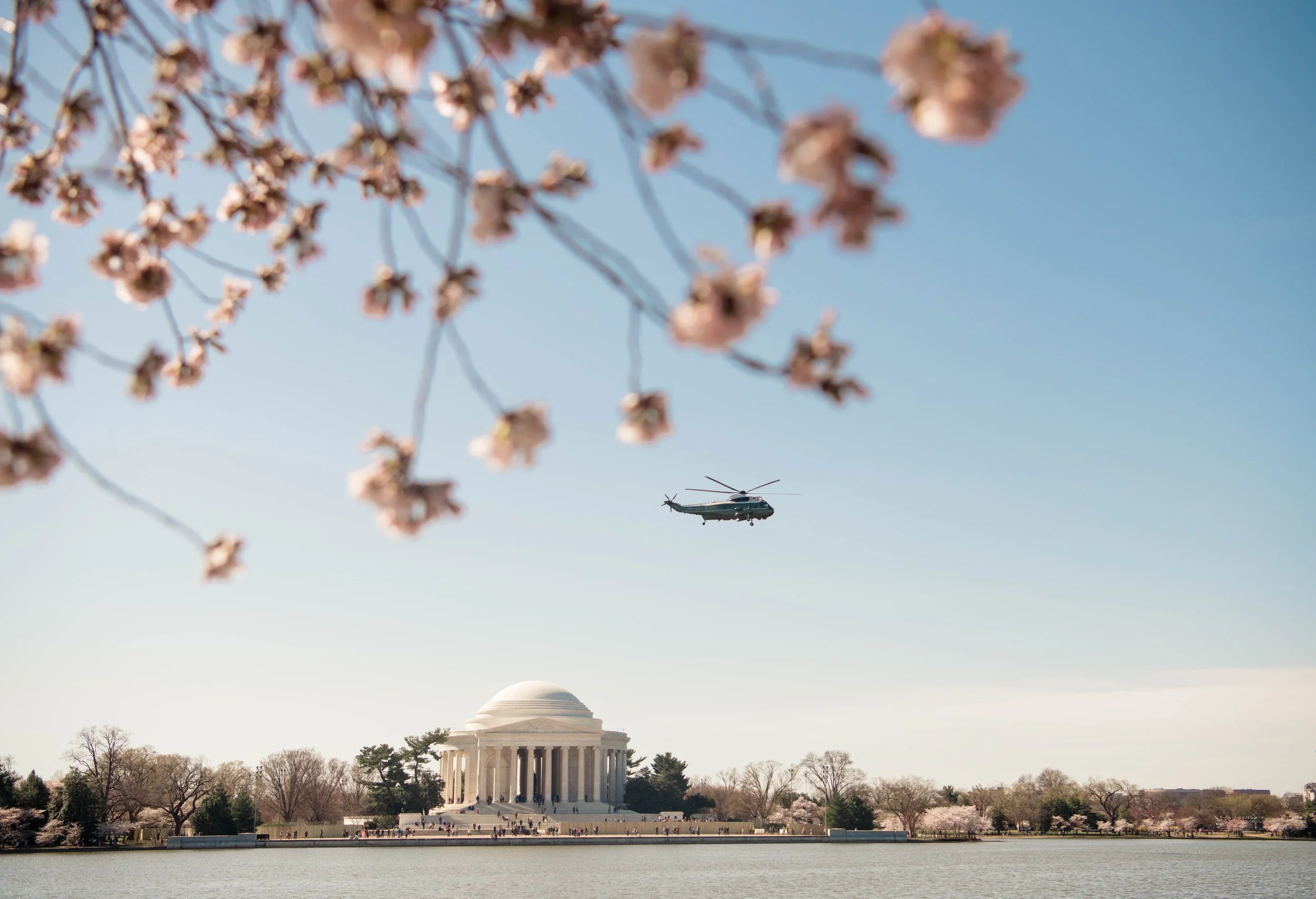 Personal Work: Spring