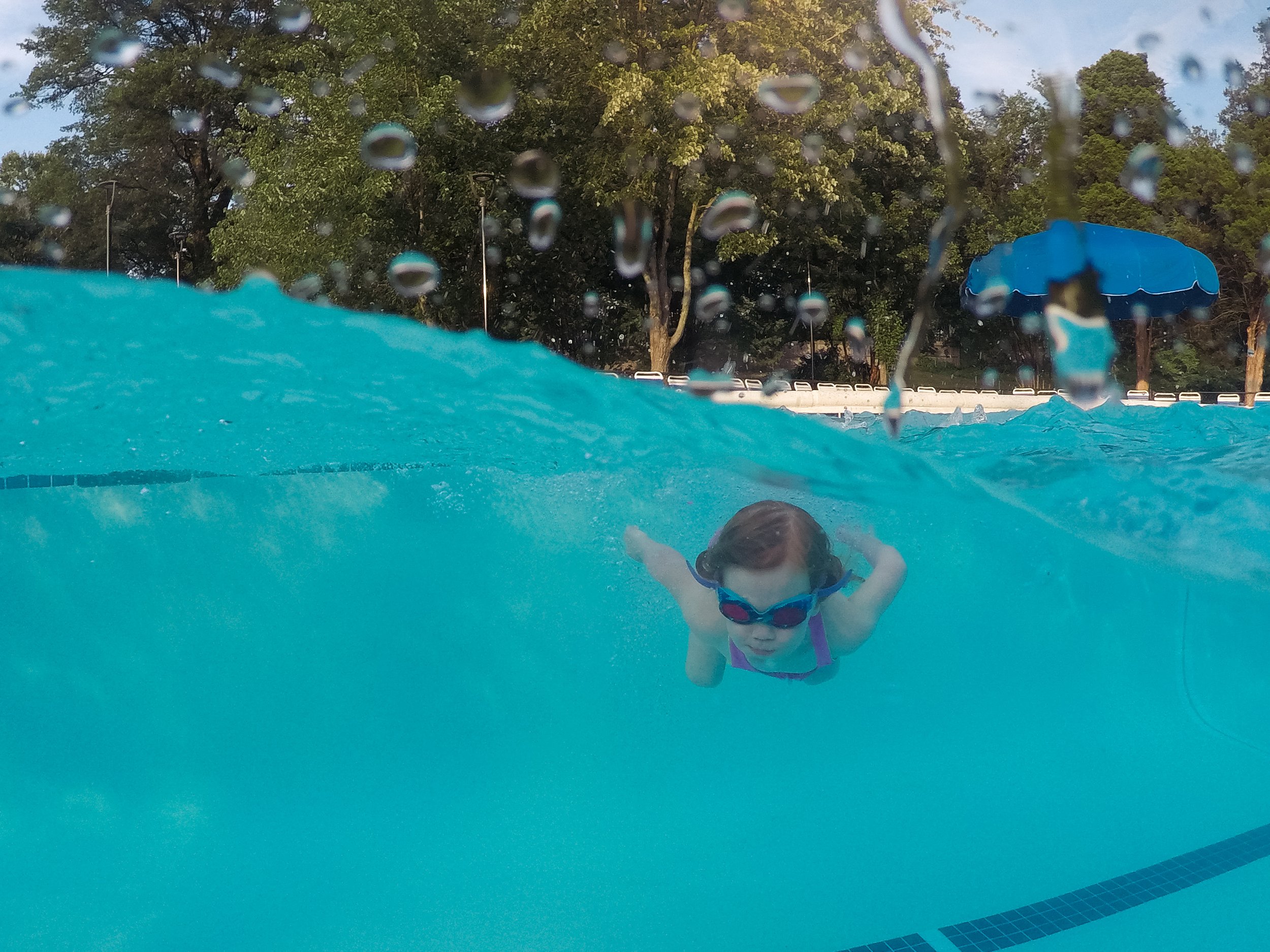 finndivingboard-22.jpg