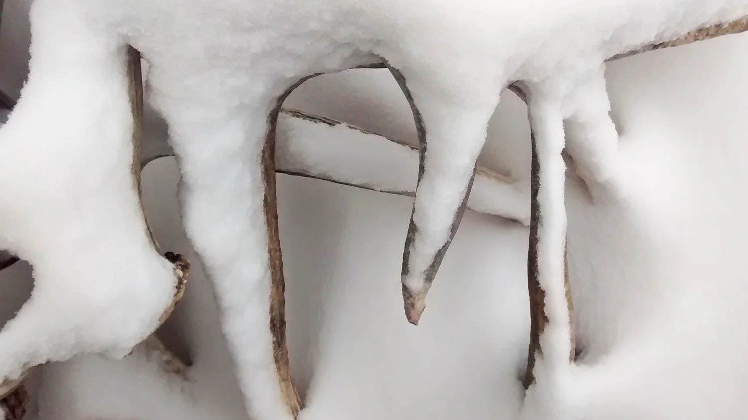 Sheds.jpg