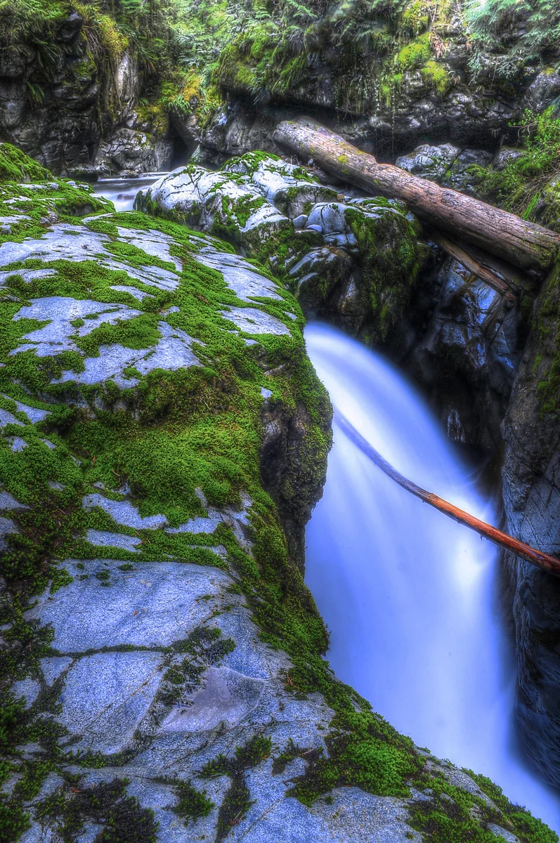 backyard waterfall.jpg