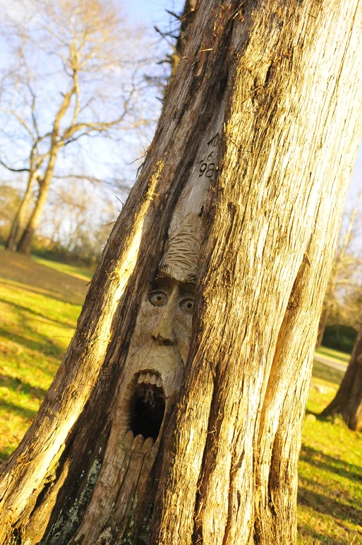 screamer1.jpg