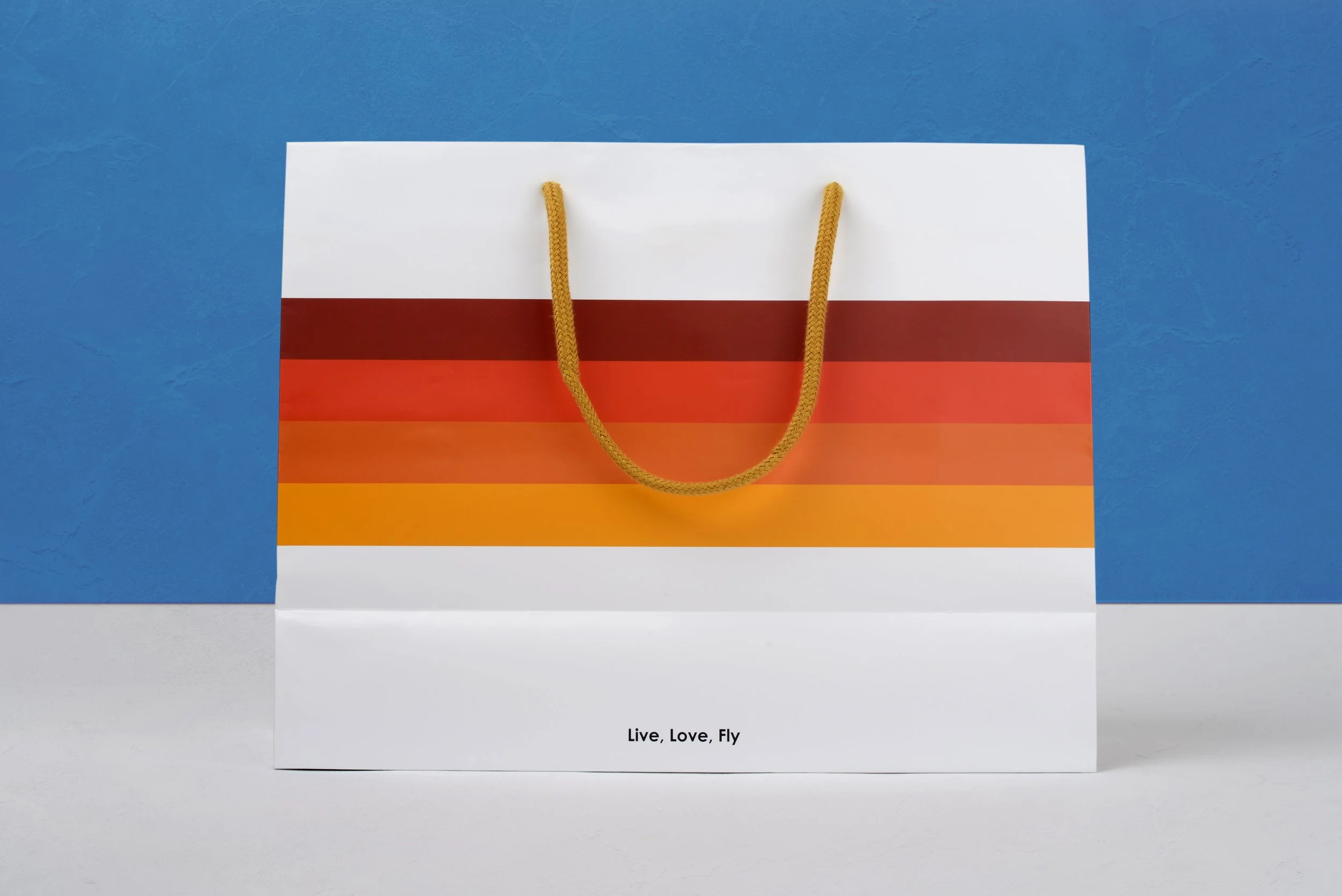 AviatorNation_PaperBag-c.jpg