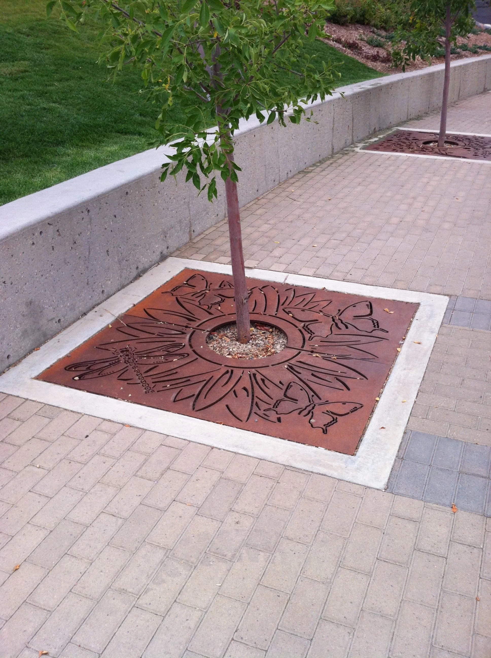 mva-hale-tree-grate-03.jpg