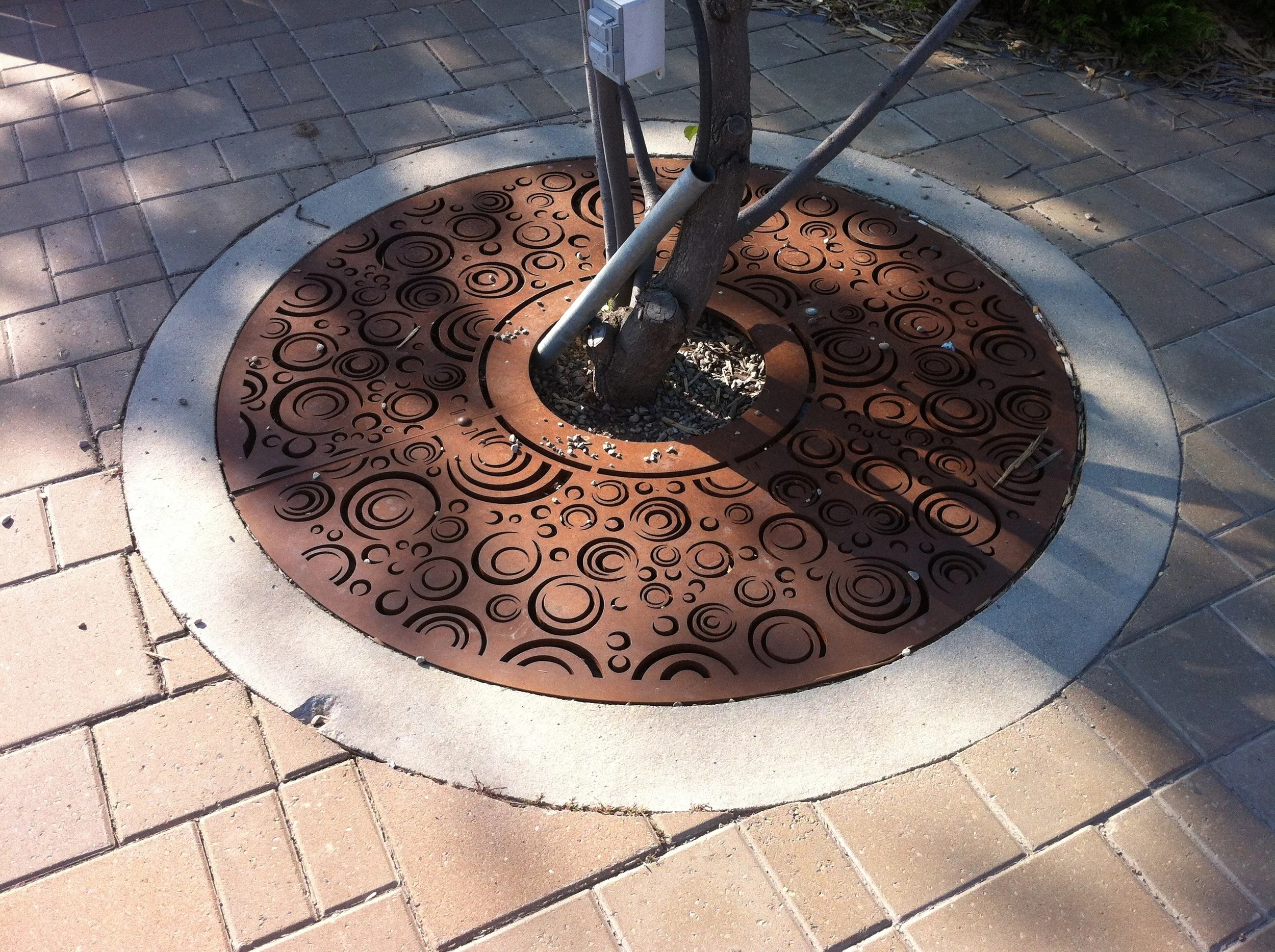 mva-hale-tree-grate-02.jpg