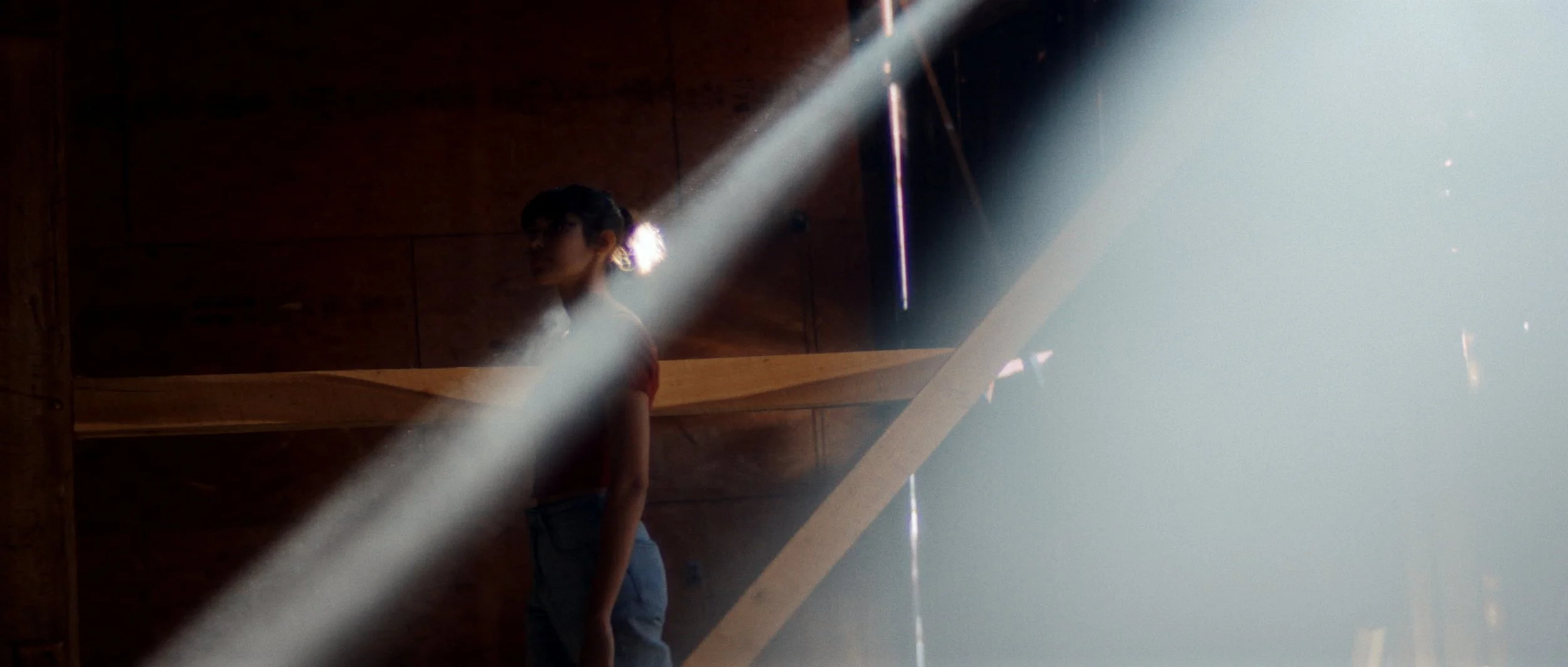 Fossil Stills_1.22.1.jpg