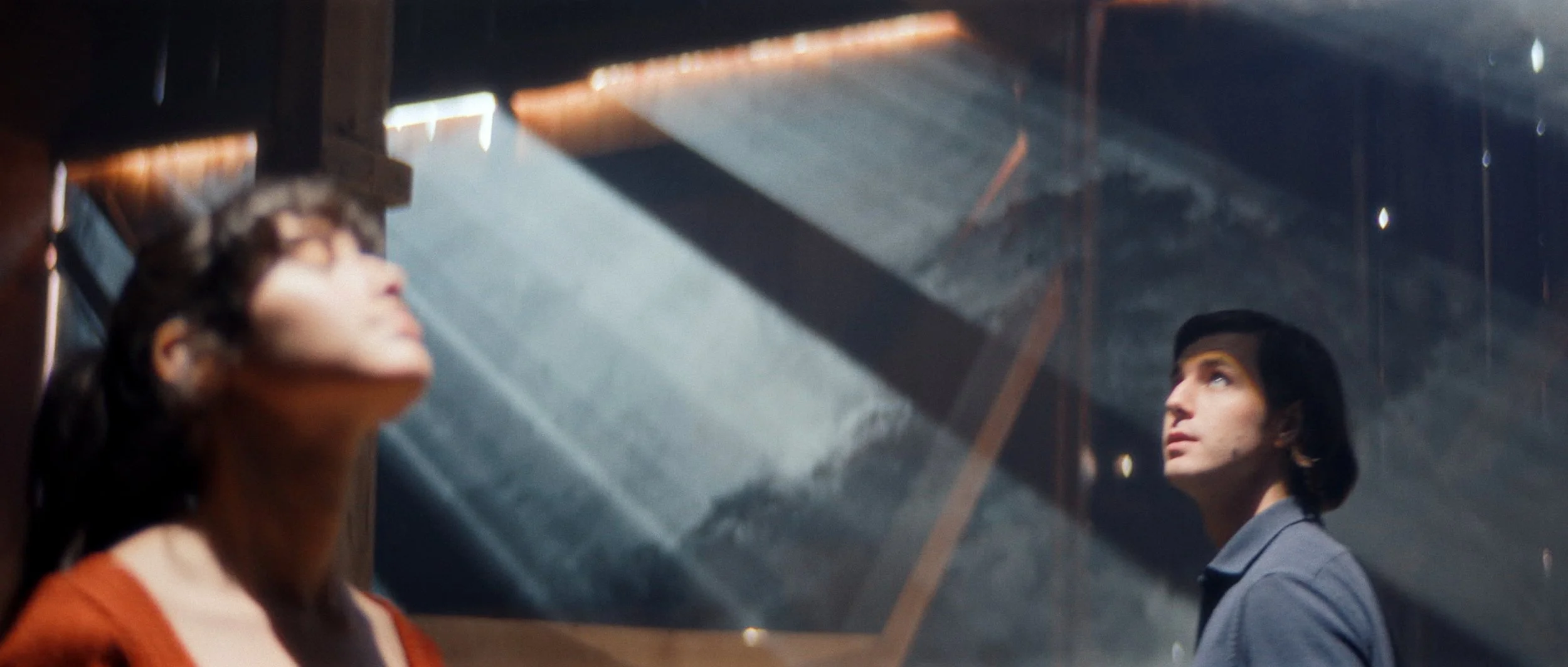 Fossil Stills_1.24.1.jpg