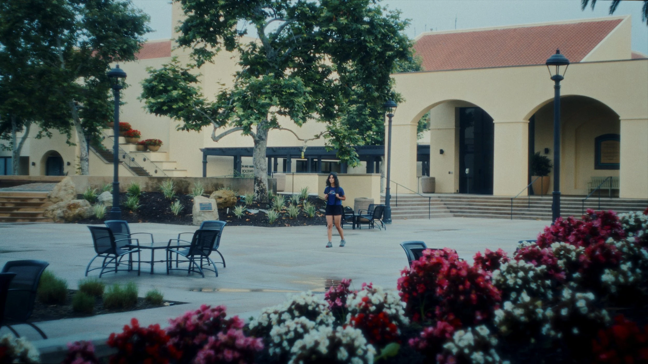 THE PATH BEGINS_1.1.1.jpg