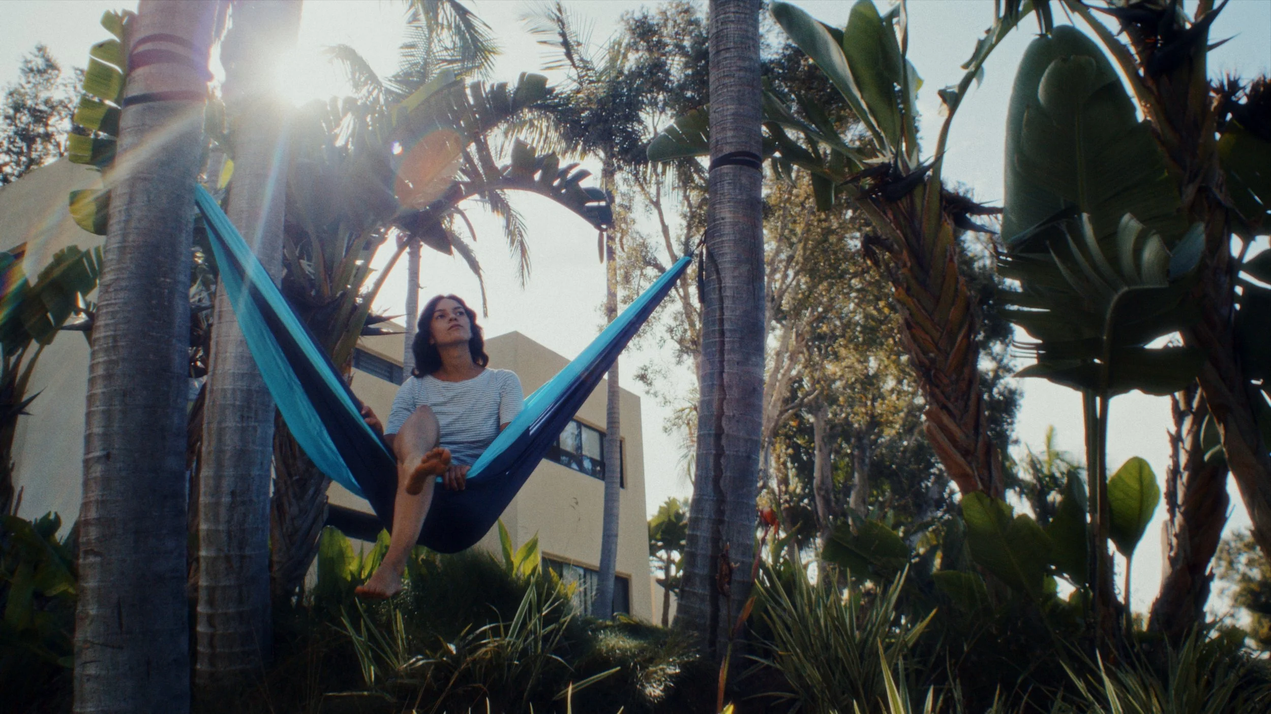 THE PATH BEGINS_1.27.1.jpg