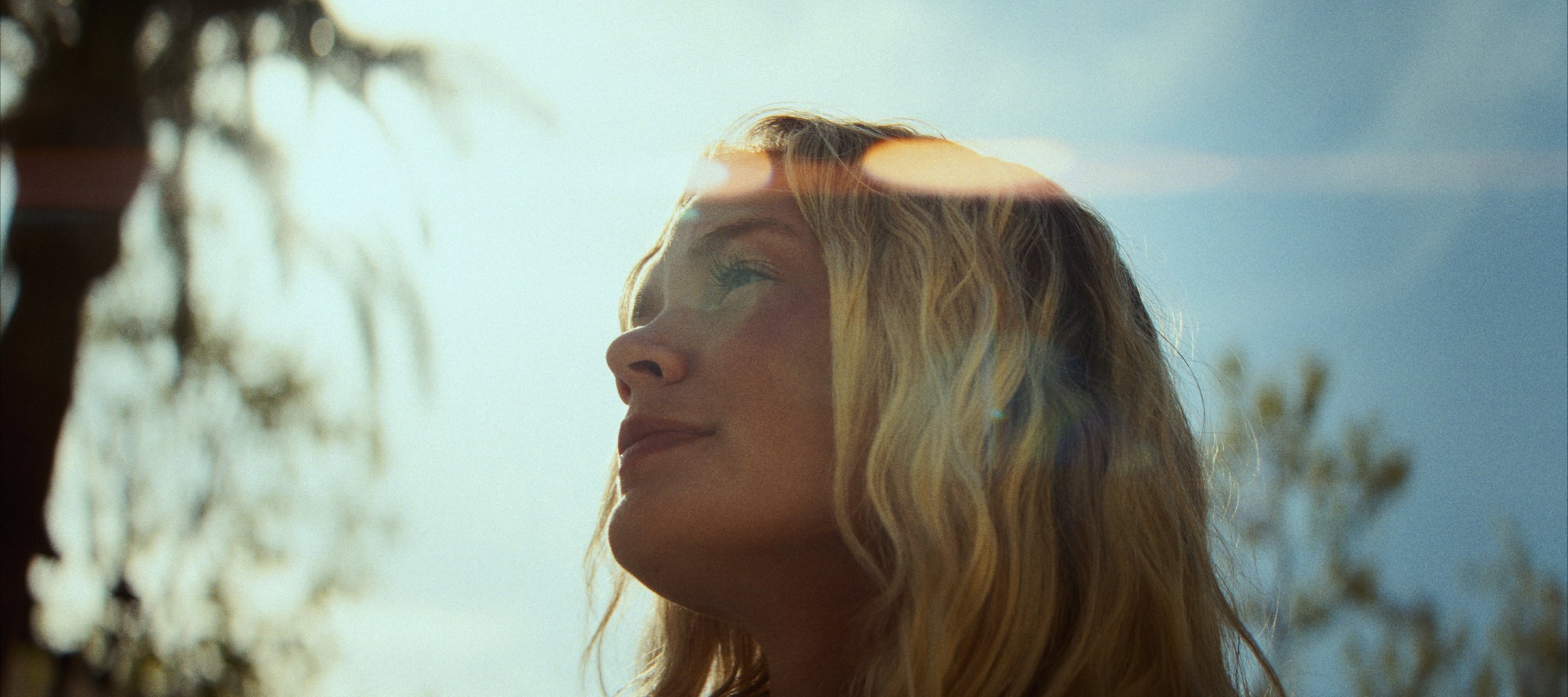 Still 2026-02-11 110041_1.2.1.jpg