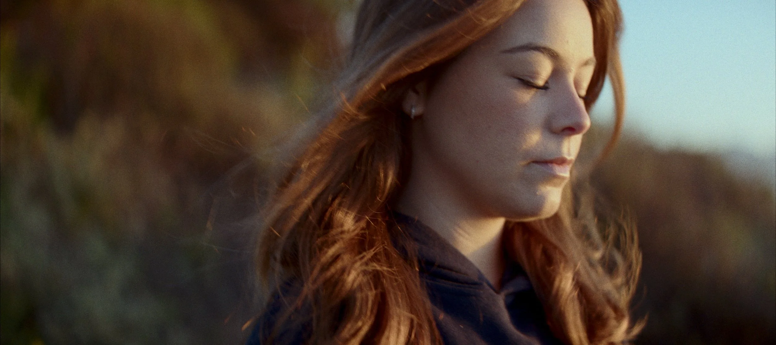 Still 2026-02-16 121030_3.12.1.jpg