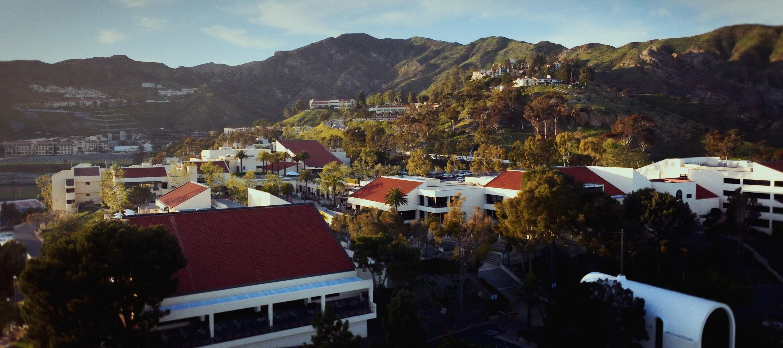 Still 2026-02-11 113916_1.2.1.jpg