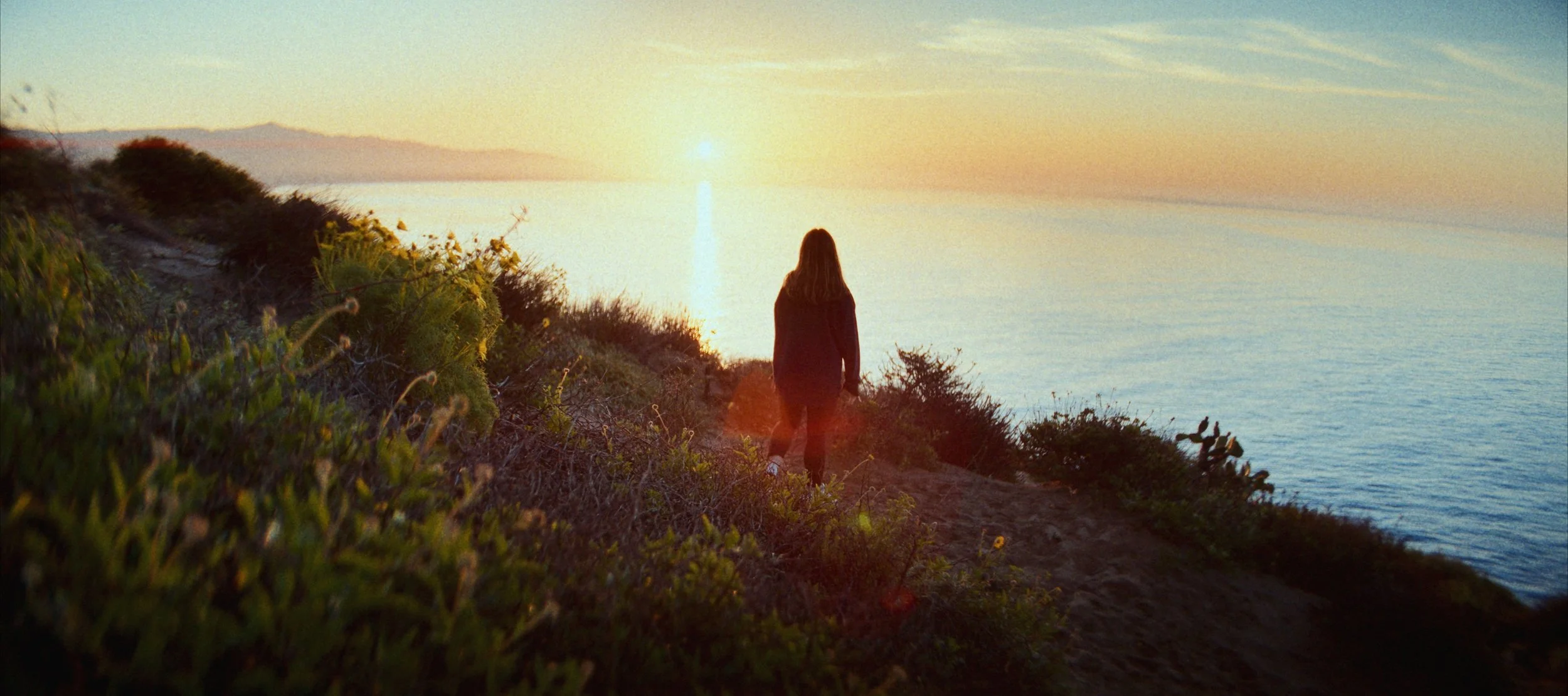 Still 2026-02-11 113916_1.37.1.jpg