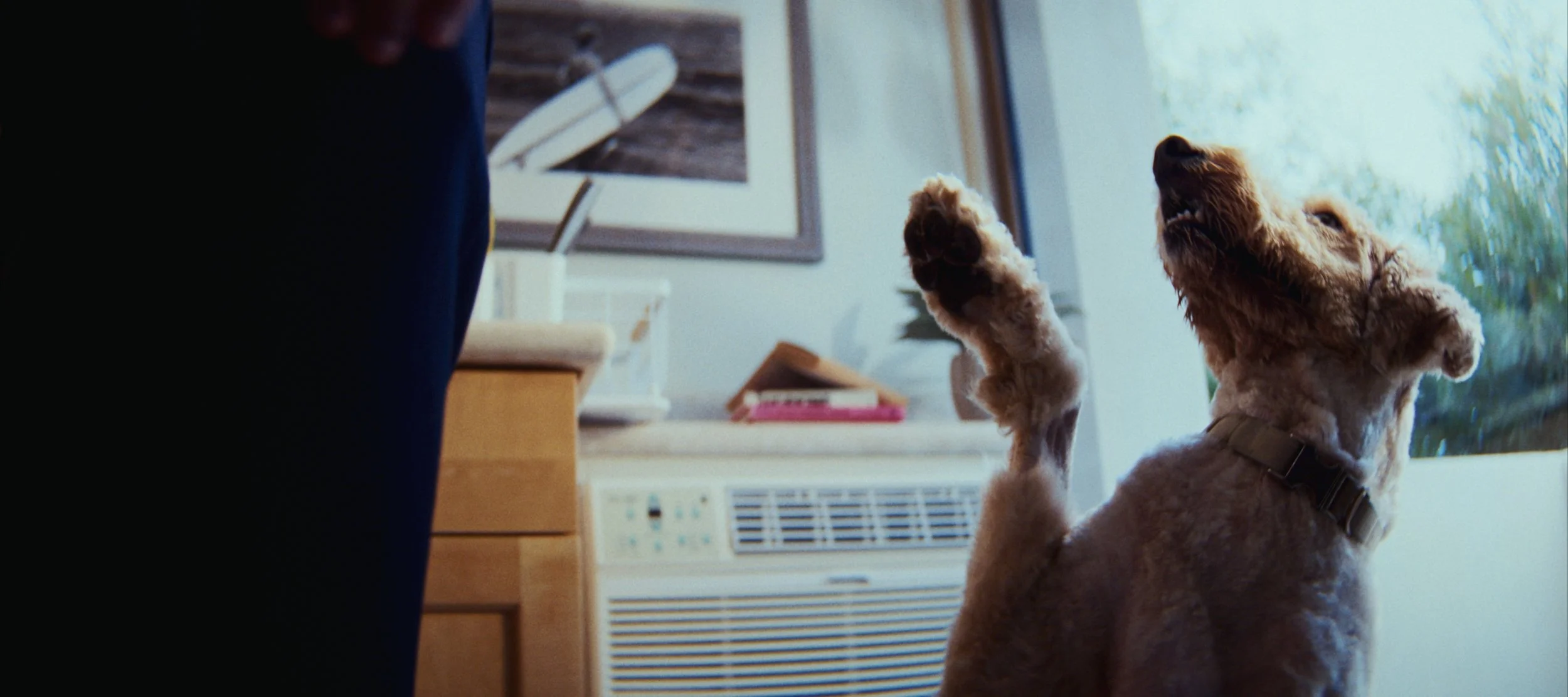 Still 2026-02-11 102146_1.9.1.jpg