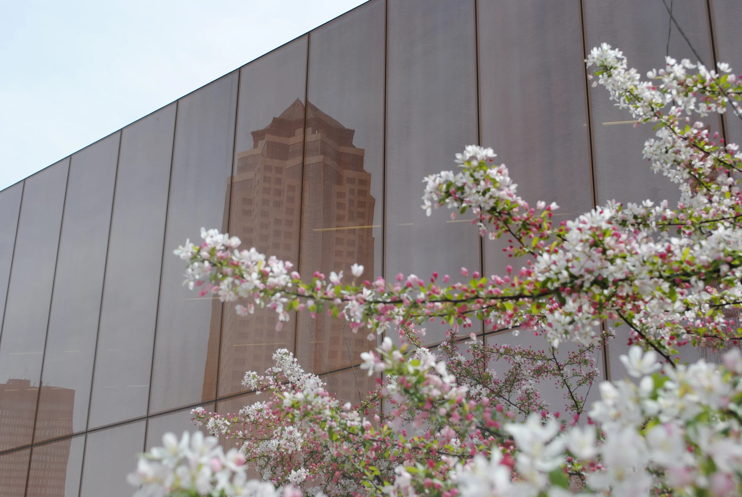 Principal off Library