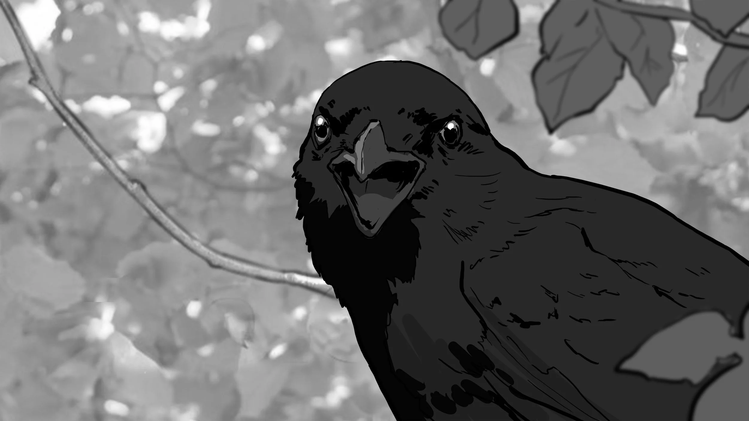 MLottery_storyboards_V02_2.jpg