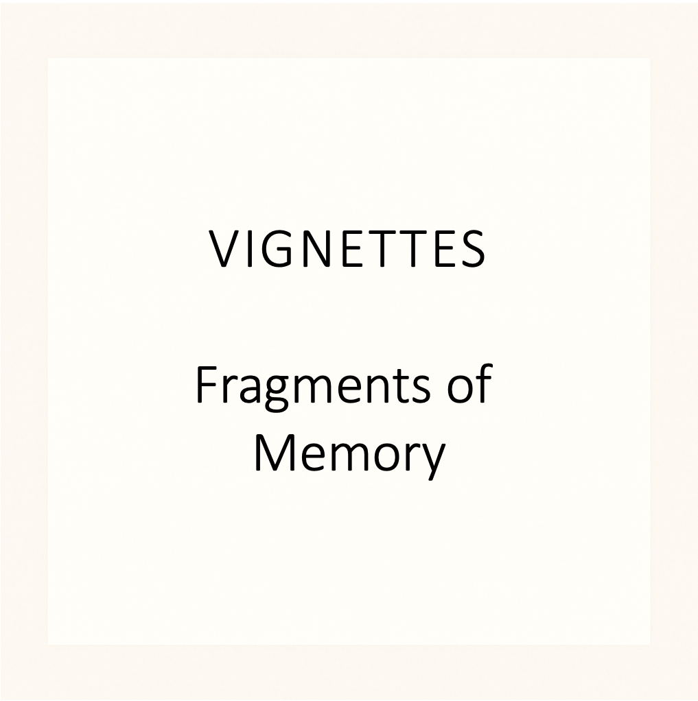 Vignettes3.png