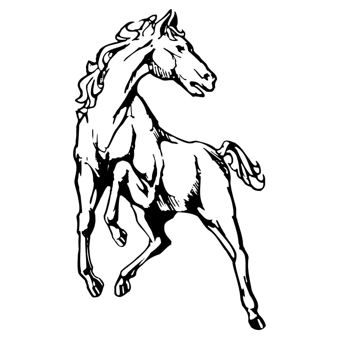 Image - 007