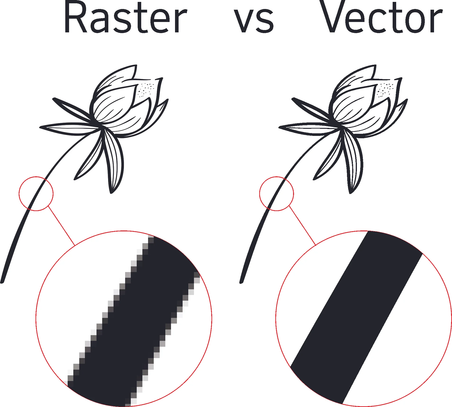 Backup_of_Raster vs Vector - 23.11.2018.jpg