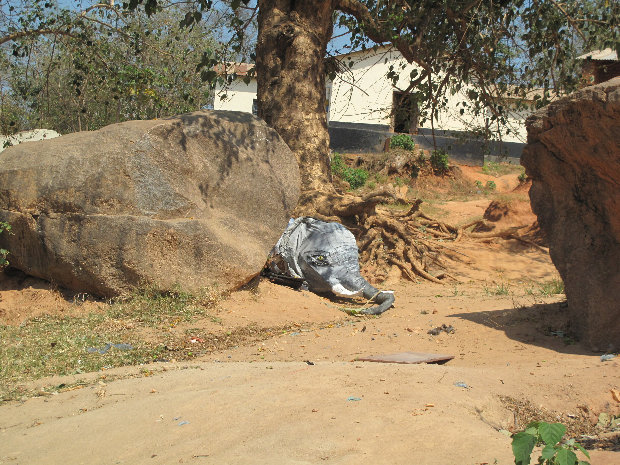 sleeping elephant Kalambwe.JPG