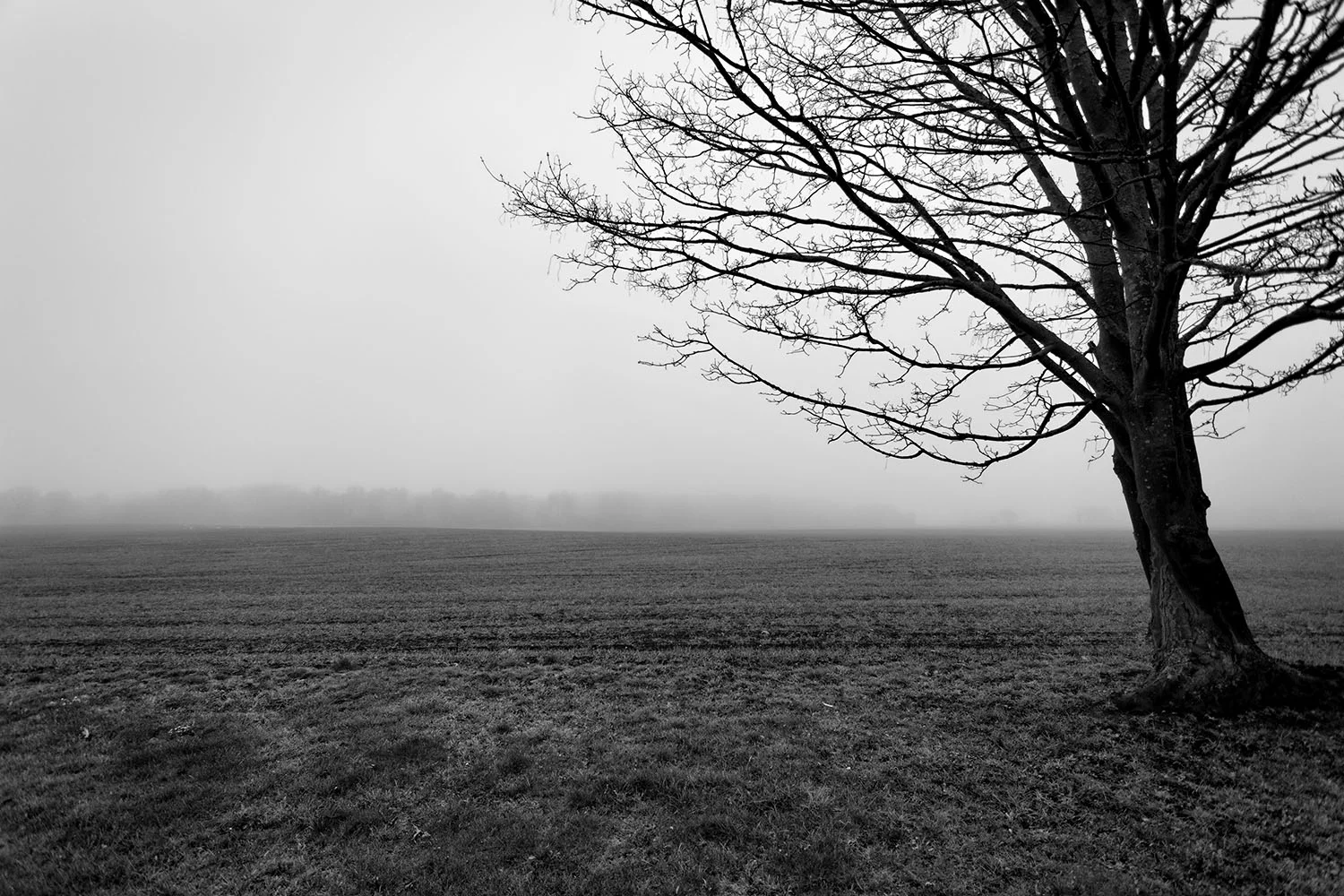 Grey.jpg